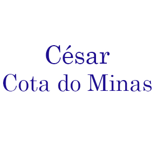 Cesar Cota do Minas Tenis