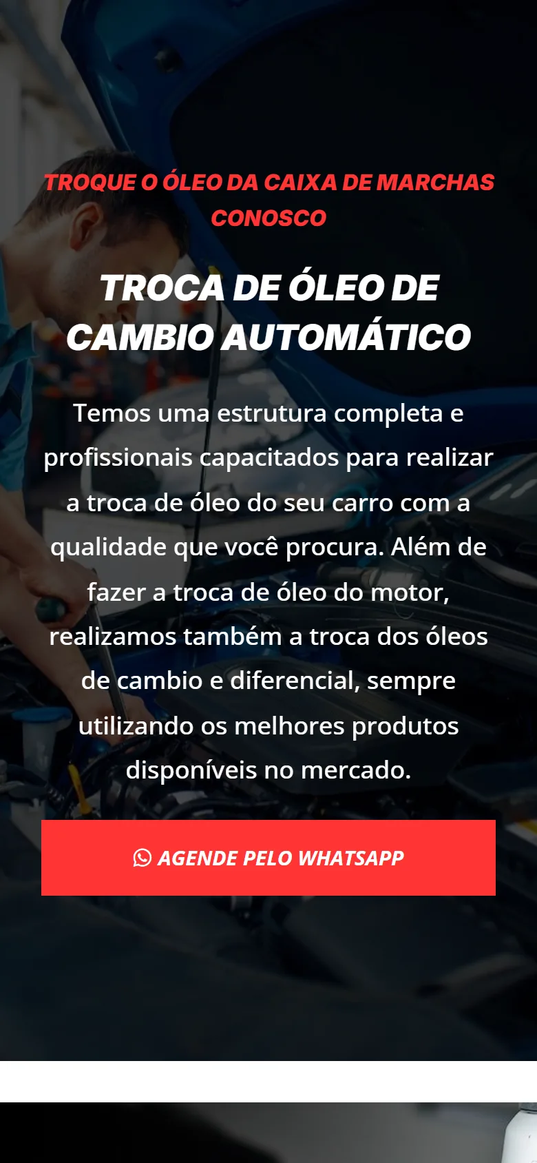 Site da Jaraguá Lubrificantes no celular