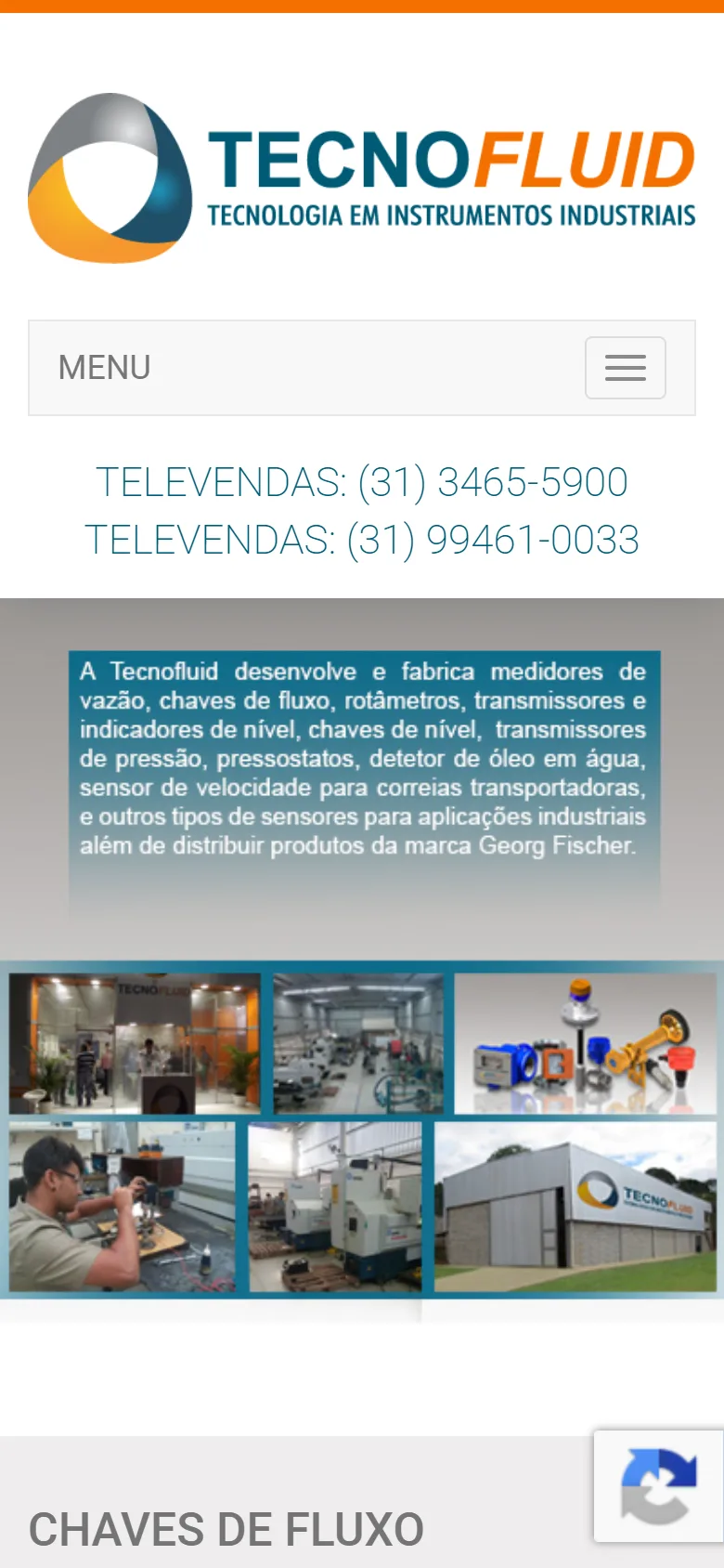 Site da Tecnofluid no celular